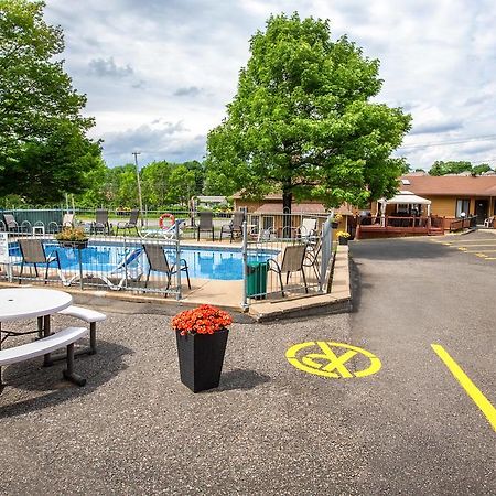 לוויס Motel Et Camping Etchemin מראה חיצוני תמונה